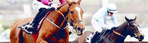 Horse Racing Betting & Betting Odds ⇒ William Hill™.